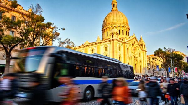 Découvrez pourquoi le bus 60 vers Notre-Dame de la Garde est incontournable